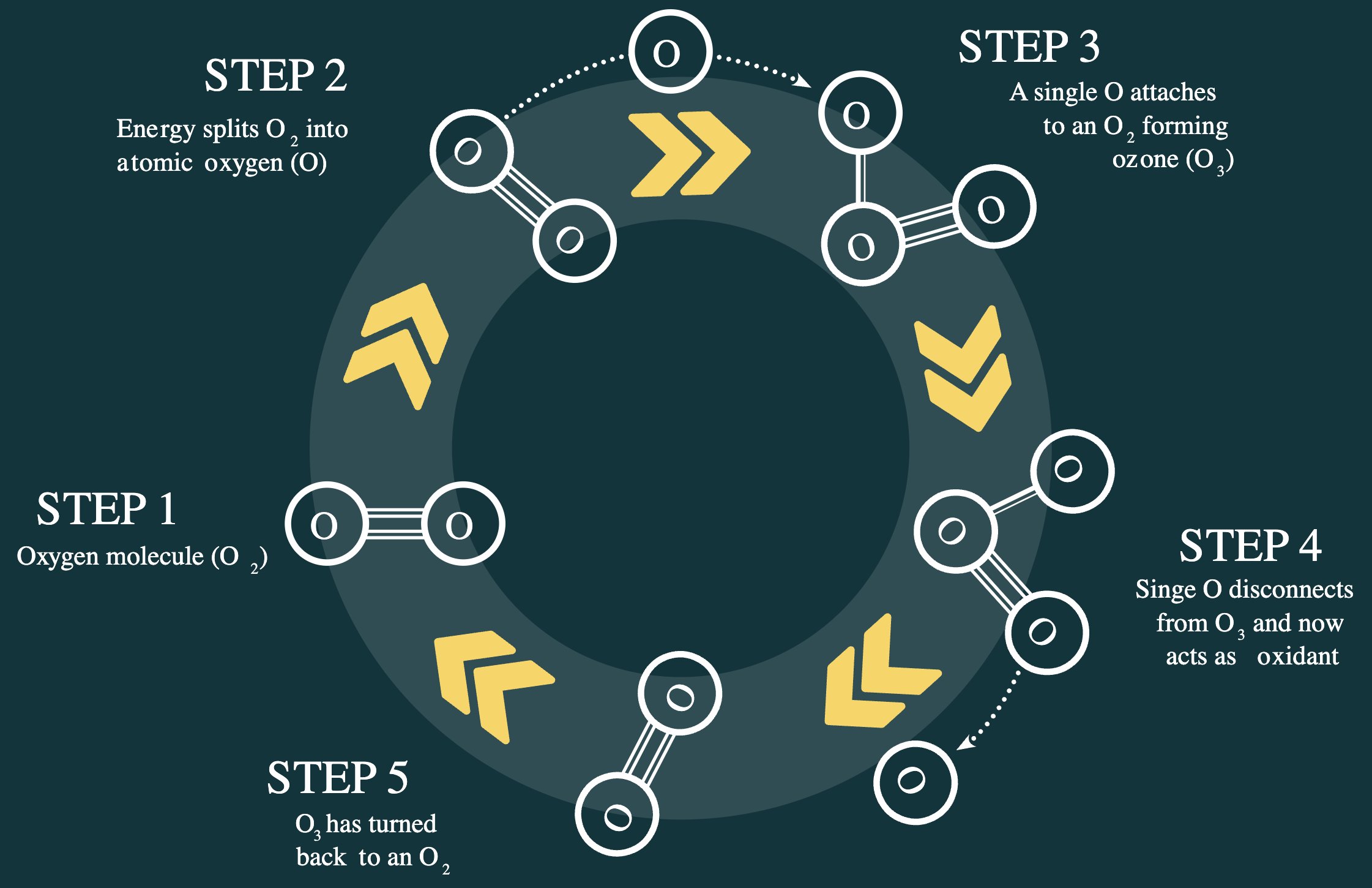 Oxygen molecules (O₂) are exposed to high-energy sources, causing them to split into individual oxygen atoms, which then recombine with O₂ to form ozone.