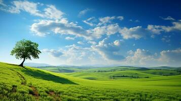 Ozone is a naturally occurring gas and one of the most effective oxidizing agents available in nature.
