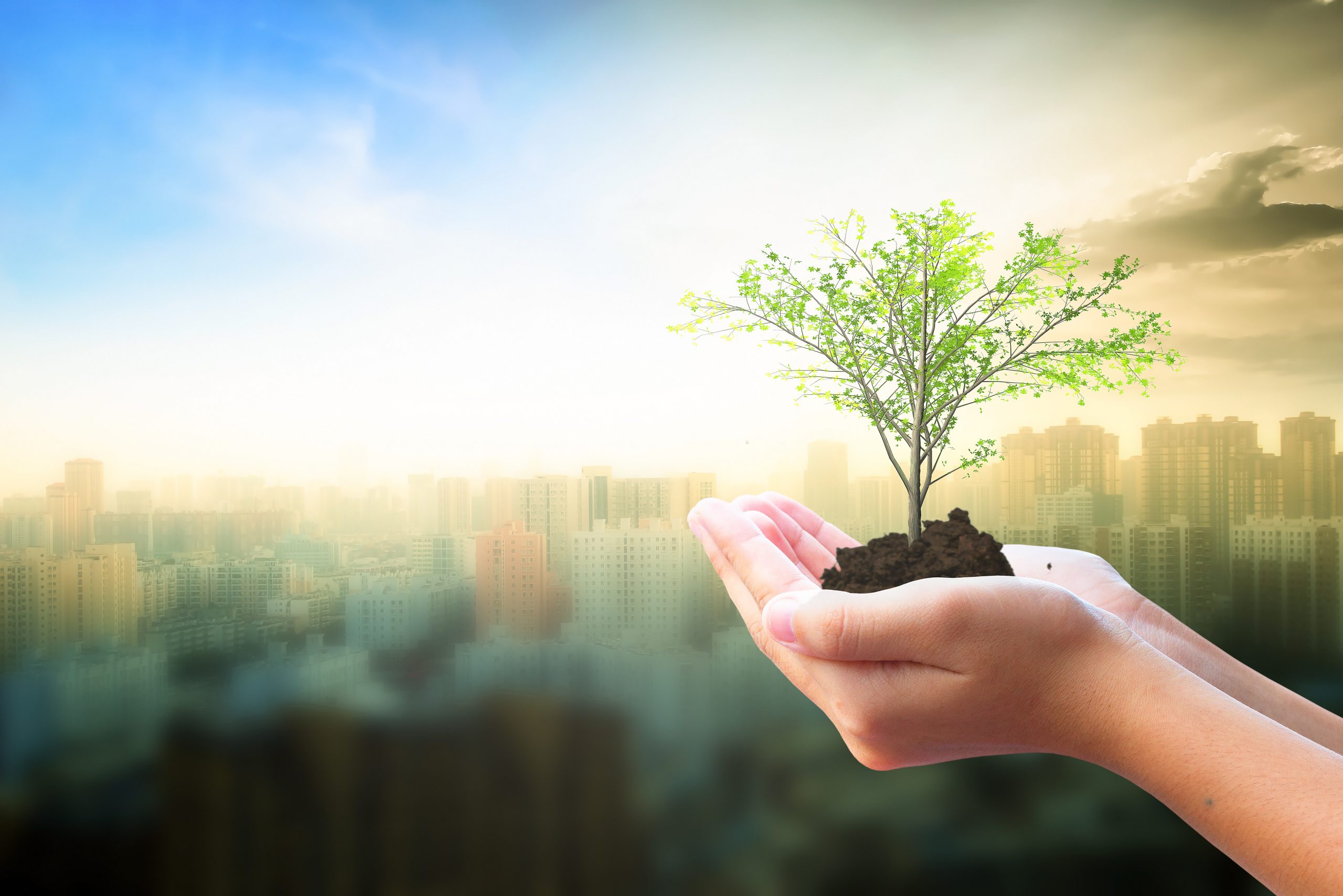 Ozone is a naturally occurring gas. Its remarkable properties make it a powerful tool for disinfection and purification.